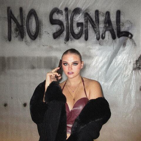 No Signal