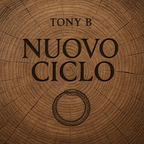 Nuovo ciclo