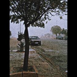 Screamed Plea In October