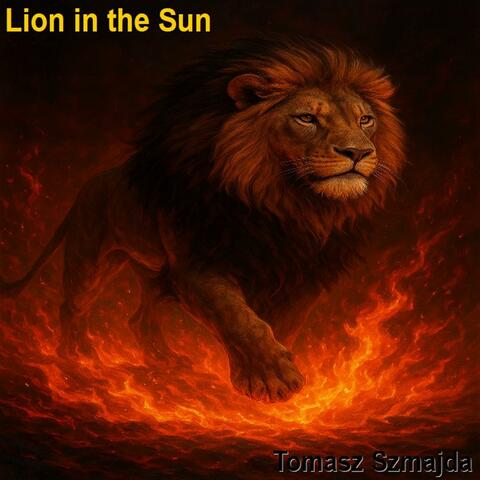 lion in the sun