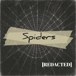 Spiders