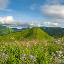 Ethereal Ambient Soundscape With Soft Pads For Focus And Emotional Healing