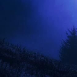 the warmth that never came