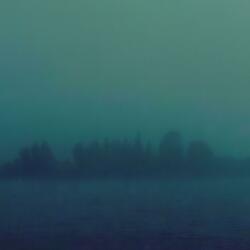 alone but not forgotten