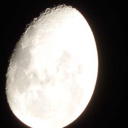 I See Faces on the Moon