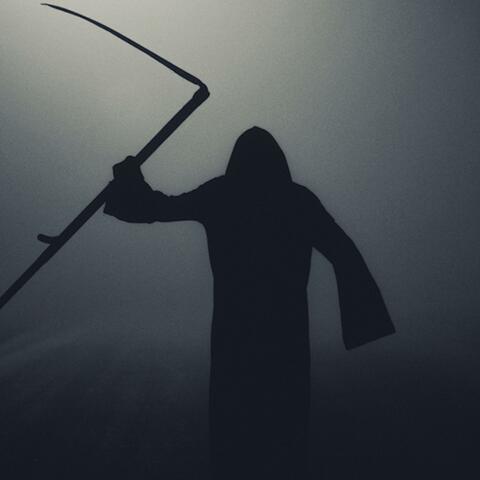 i remember your shadow