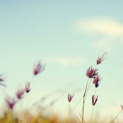 Soft Ambient Music With Floating Textures For Inner Calm And Restful Sleep