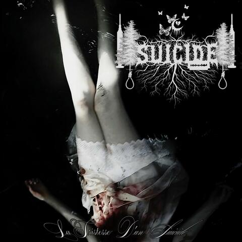 la tristesse d'un suicide