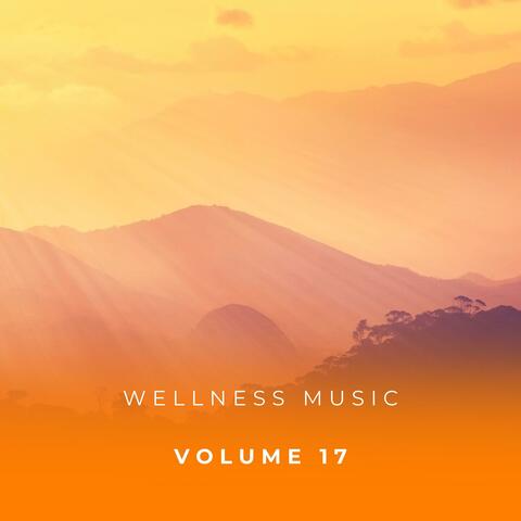 Wellness Music Vol. 17