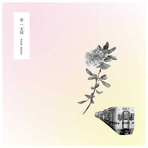 HARU-Spring-