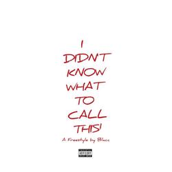 I DID NOT KNOW WHAT TO CALL THIS (FREESTYLE)