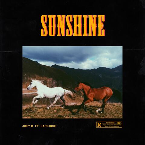 Sunshine