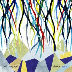 Cherry Blossom Shadows