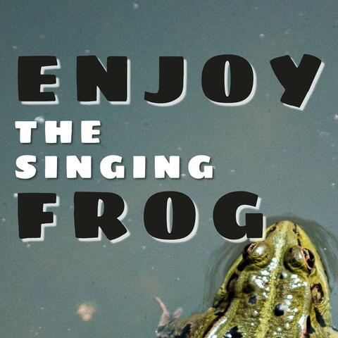 Enjoy the singing Frog