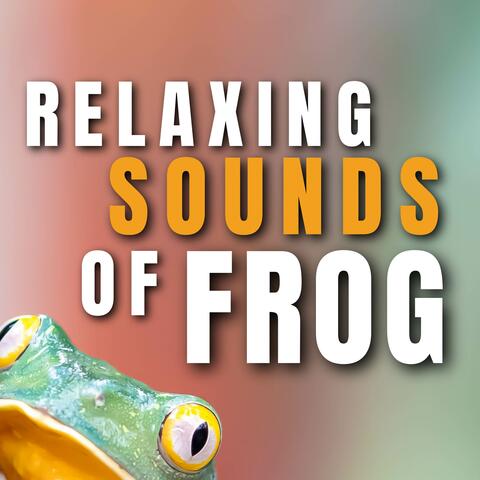 Relaxing sounds of Frog