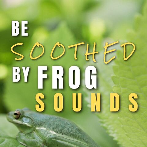 Be Soothed by Frog Sounds