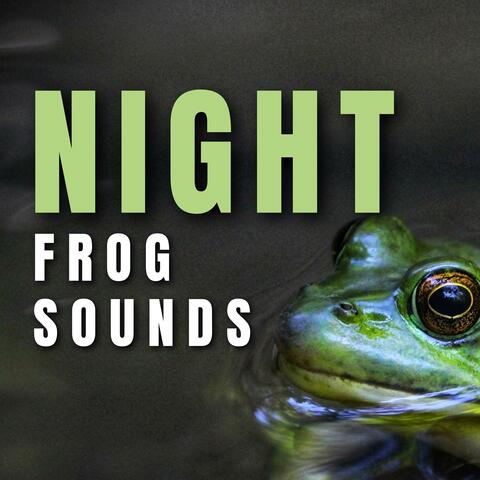 Night Frog Sounds