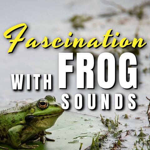 Fascination with Frog Sounds