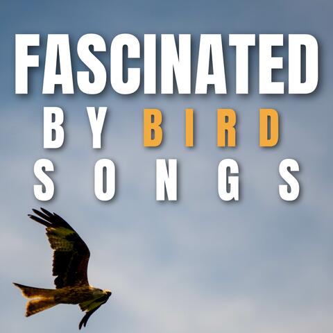Fascinated by Bird Songs