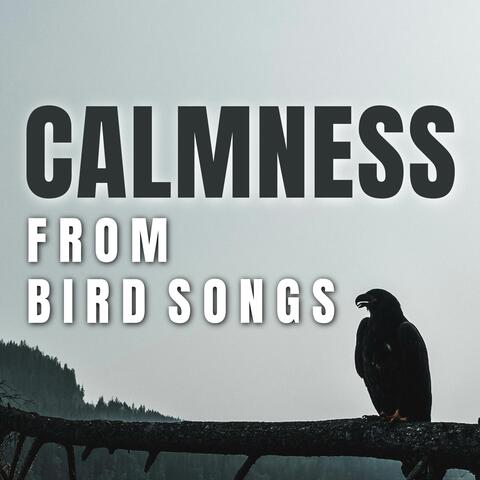 Calmness from Bird Songs