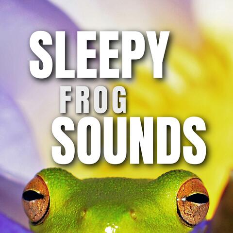 Sleepy frog sounds