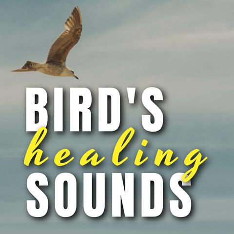 Bird's Healing Sounds