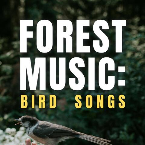 Forest Music: Bird Songs