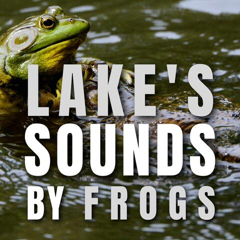 Lake's Sounds by Frog