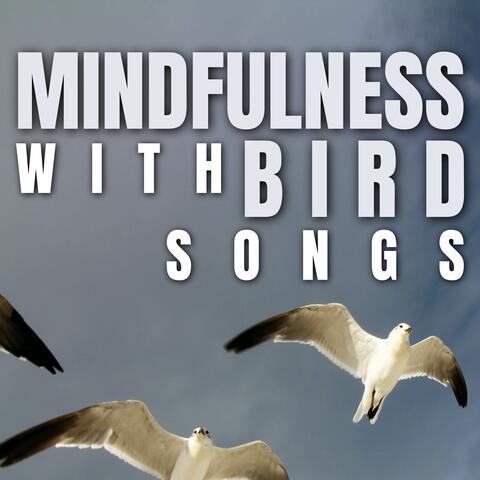 Mindfulness with Bird Songs