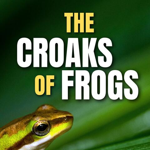 The Croaks of Frogs