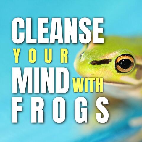 Cleanse your Mind with Frog Sounds