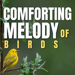 Forest Birds Sound