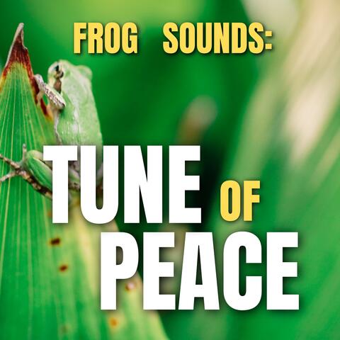 Frog Sounds: Tune of Peace