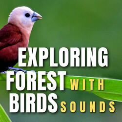 Nature Sounds Bird
