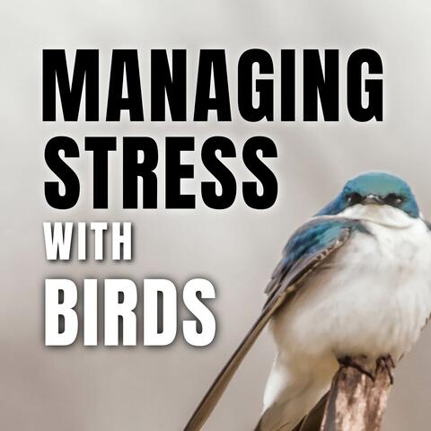 Managing Stress with Birds