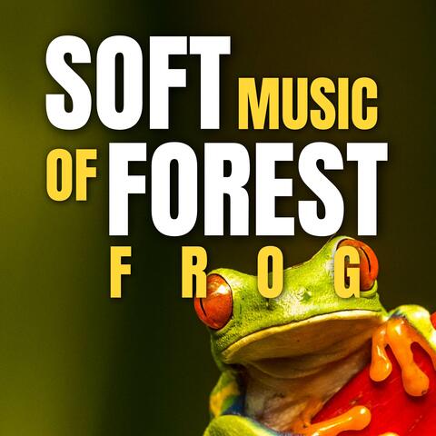 Soft Music of Forest Frog
