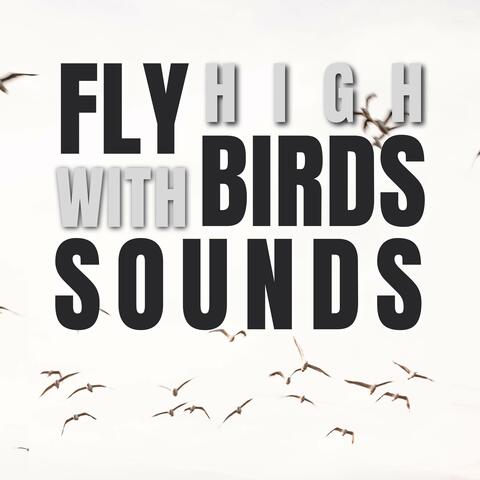 Fly High with Birds Sounds