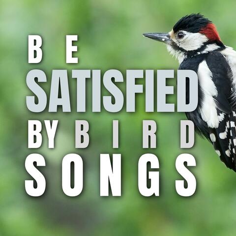 Be Satisfied by Bird Songs