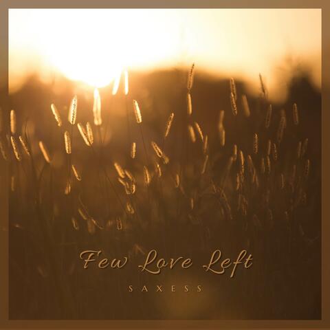 Few Love Left