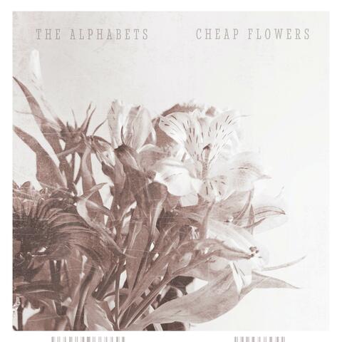 Cheap Flowers