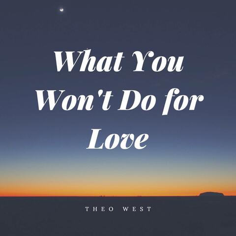 What You Won't Do For Love