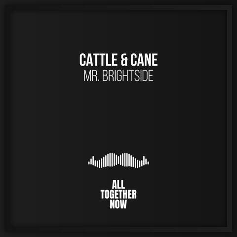 Mr. Brightside