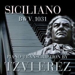 Siciliano, BWV 1031 (Transc. Erez)