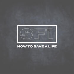 How to Save a Life