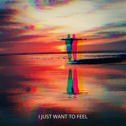 I Just Want to Feel