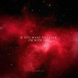 If You Want to Leave I'm With You