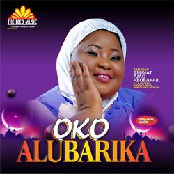 Oko Alubarika (2)
