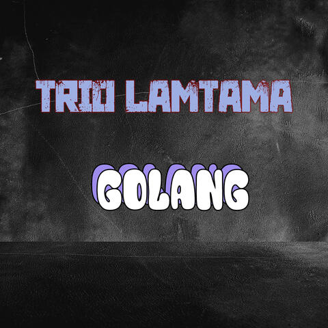 Golang