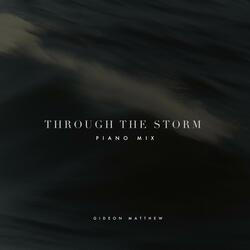 Through the Storm