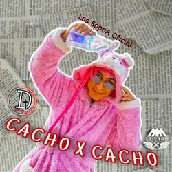 Cacho X Cacho